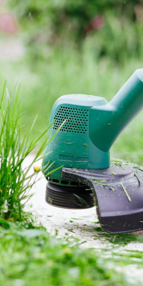 Commercial Yard Maintenance Services