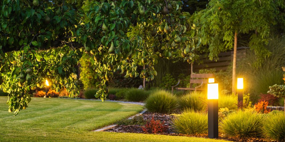 Full Landscaping Design 9
