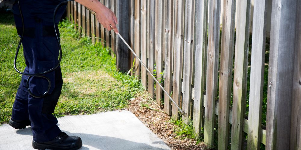 Yard Maintenance 10