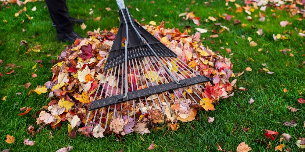 Yard Maintenance 2