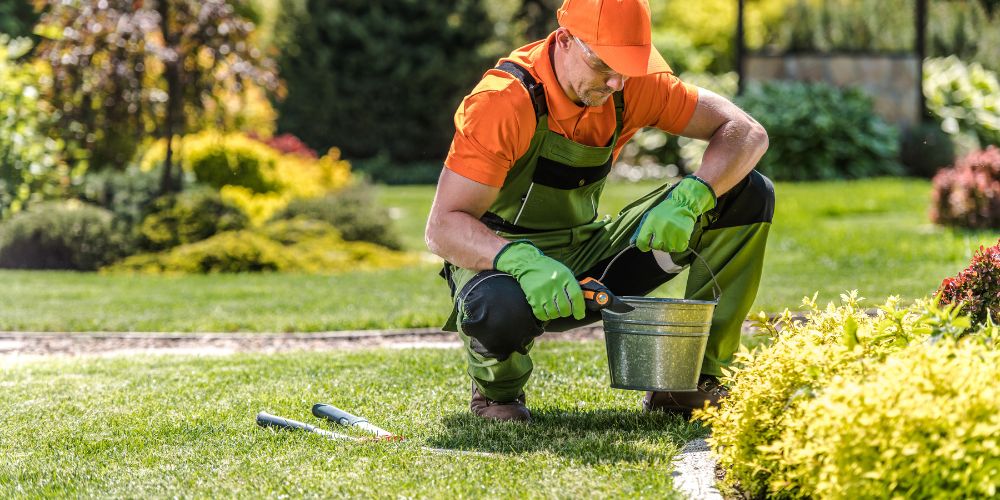 Yard Maintenance 4