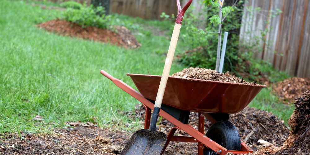Yard Maintenance