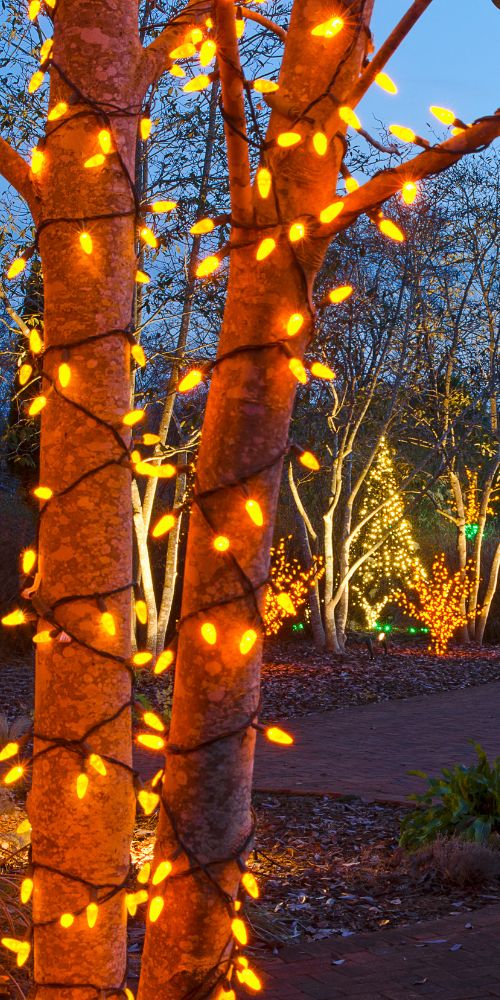 decoration installation services