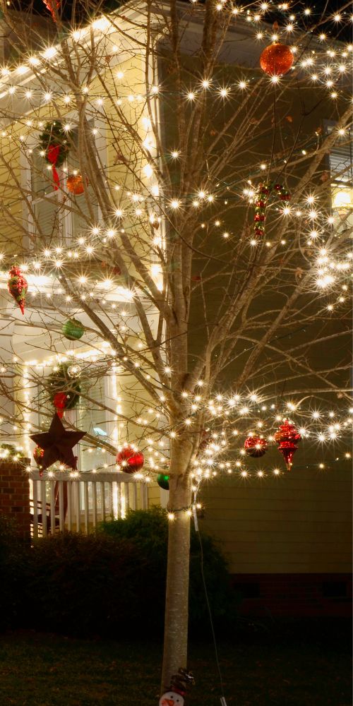 Holiday Decoration Installation Services