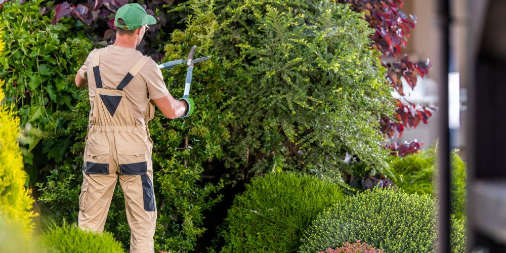 Landscaping Consulting 10