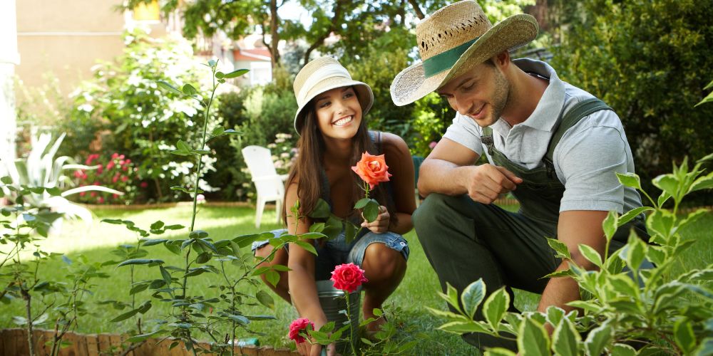 Landscaping Consulting 14