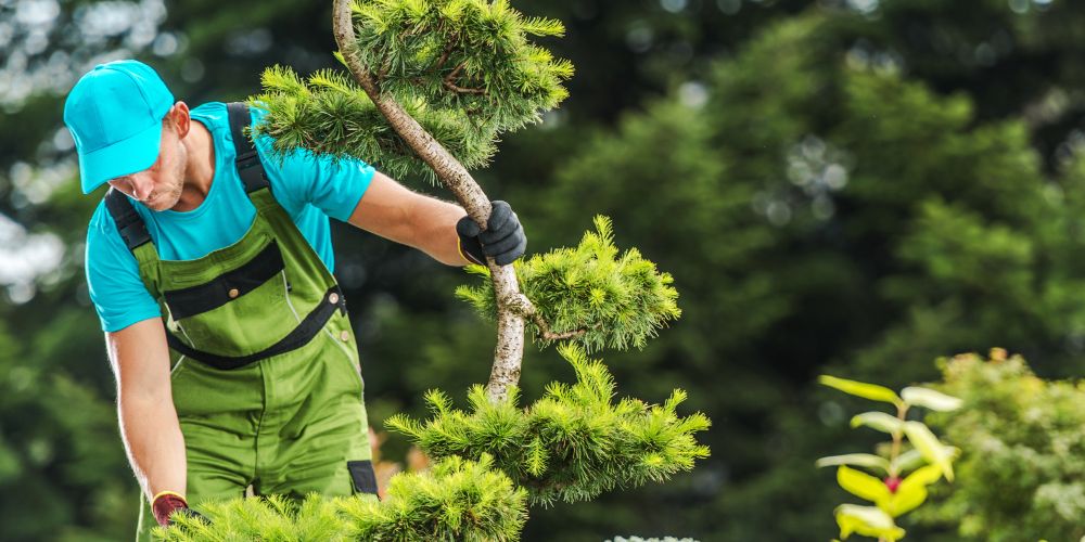 Landscaping Consulting 2
