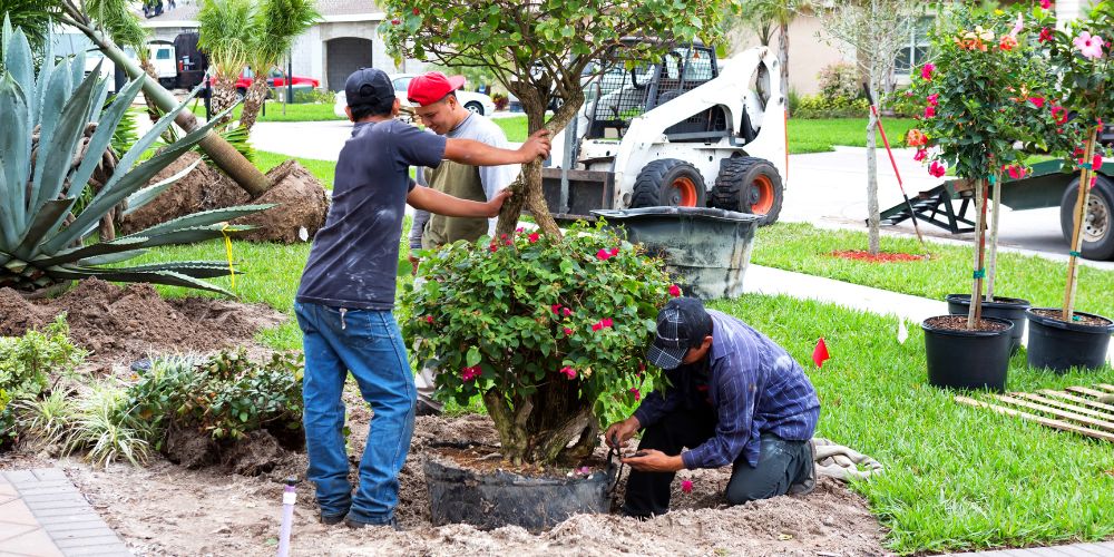 Landscaping Consulting 9