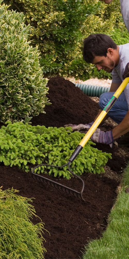 Mulching Services img