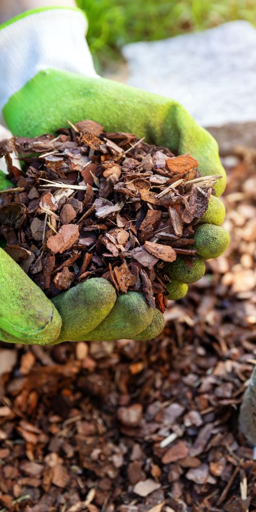 Mulching Shrub Trimming Services img