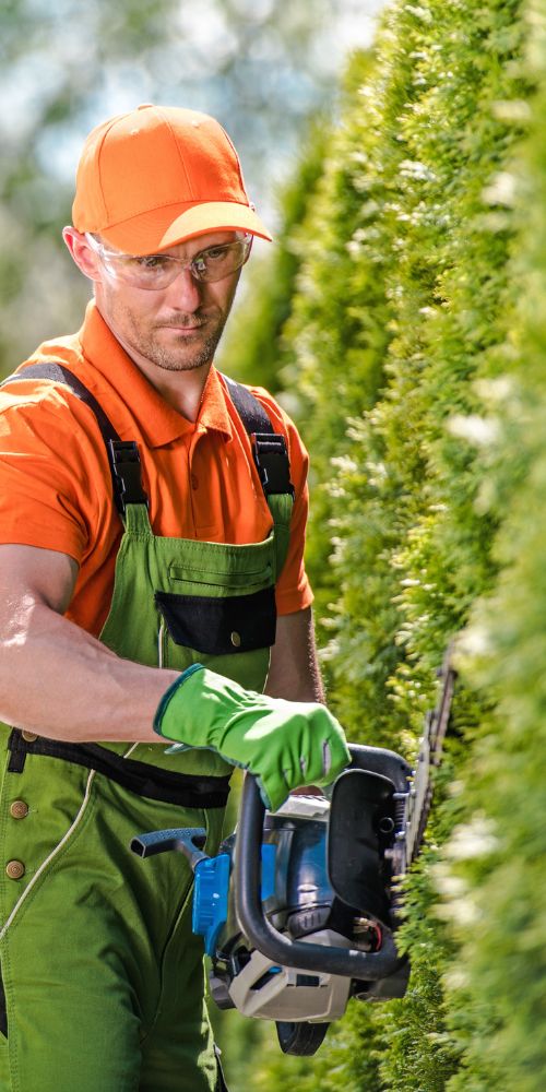 Shrub Trimming Services img