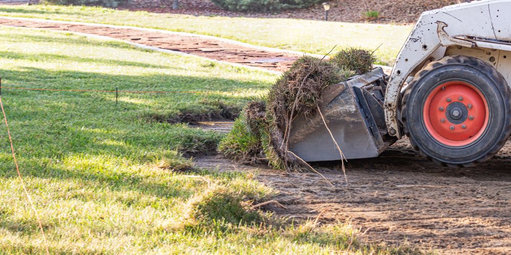 Yard Grading 2