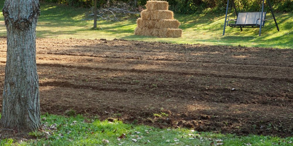 Yard Grading 3
