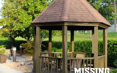 Custom Built Gazebo or Pergola in Fox Chapel
