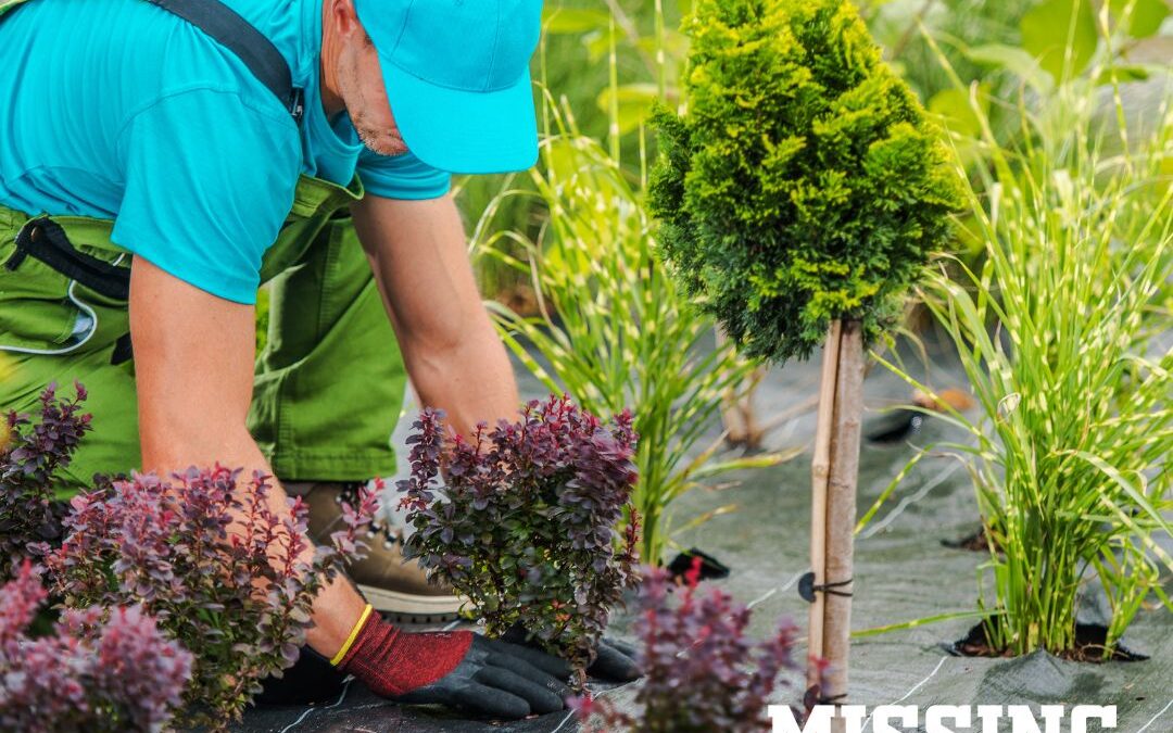 Why Professional Landscaping Is Worth It