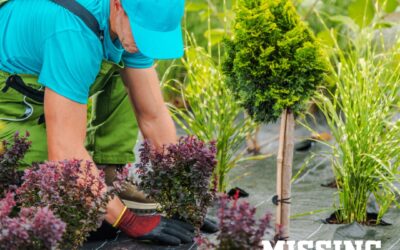 Why Professional Landscaping Is Worth It