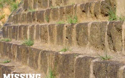Top Mistakes When Installing Retaining Walls