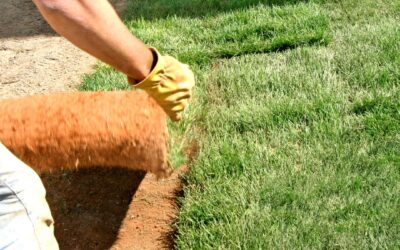 Why Choose Residential Landscaping and Excavation Services in Fox Chapel?